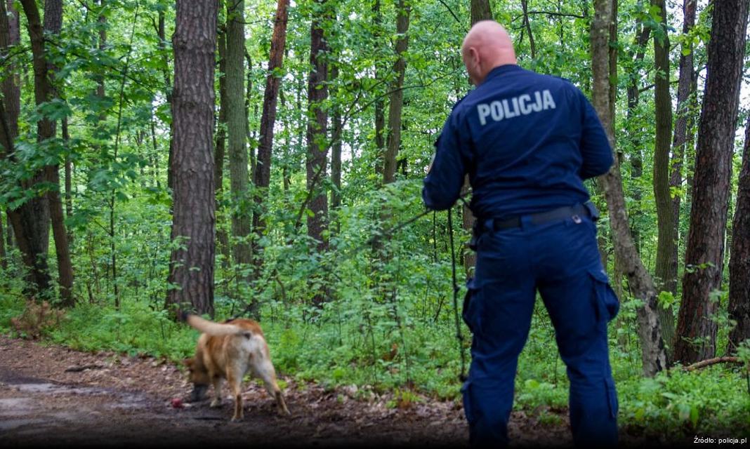 Tragiczny wypadek drogowy w Obórkach – trzy ofiary śmiertelne