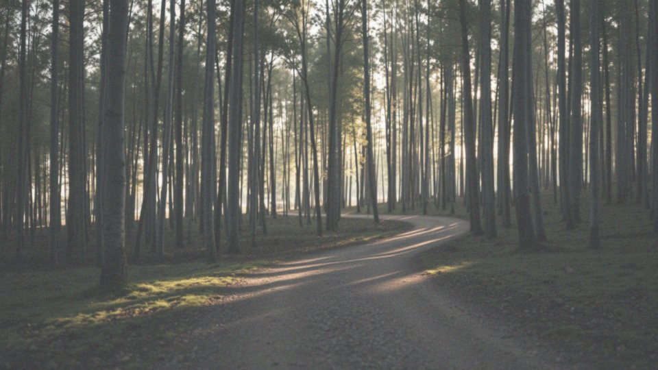 NoFap – co to jest i jakie przynosi korzyści?