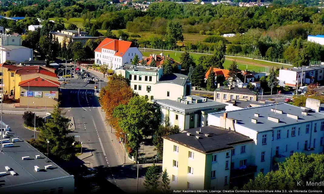 Dofinansowanie dla Brodnickich Przedsięwzięć Kulturalnych i Ochrony Zabytków