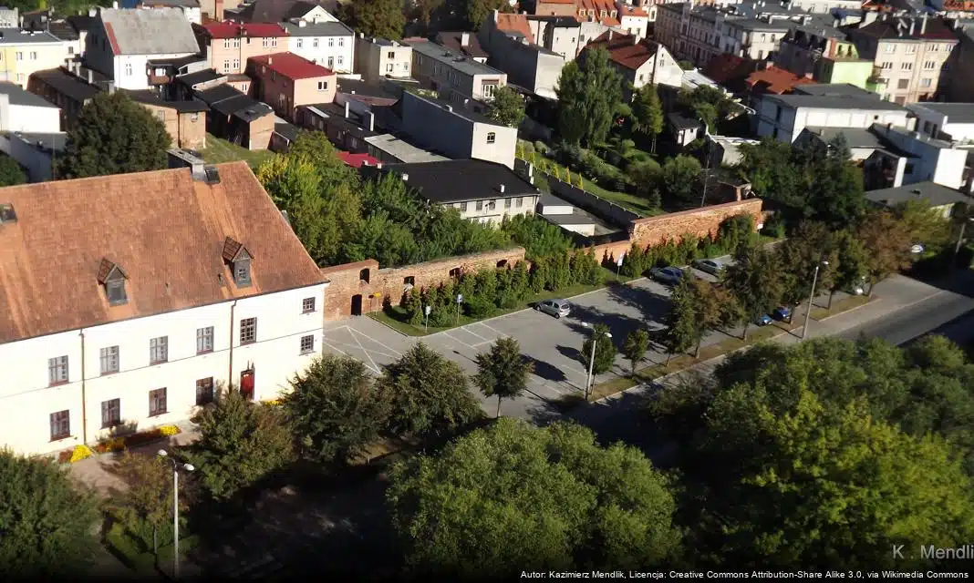 Nabór wniosków na dotacje na wymianę systemów ogrzewania w Brodnicy