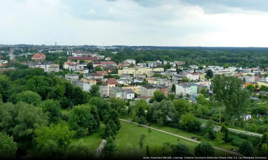 Brodnica na wojewódzkich obchodach Dnia Strażnika Miejskiego